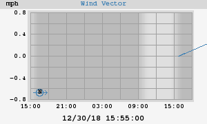 Wind Vector