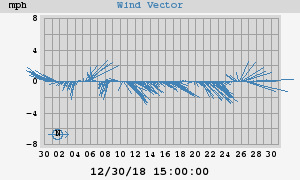 Wind Vector