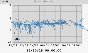 Wind Vector